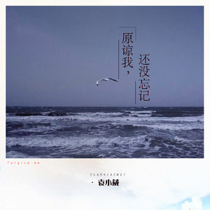 艹逼视频免费看91九色网站
