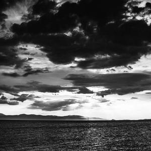 艹逼视频免费看91九色网站
